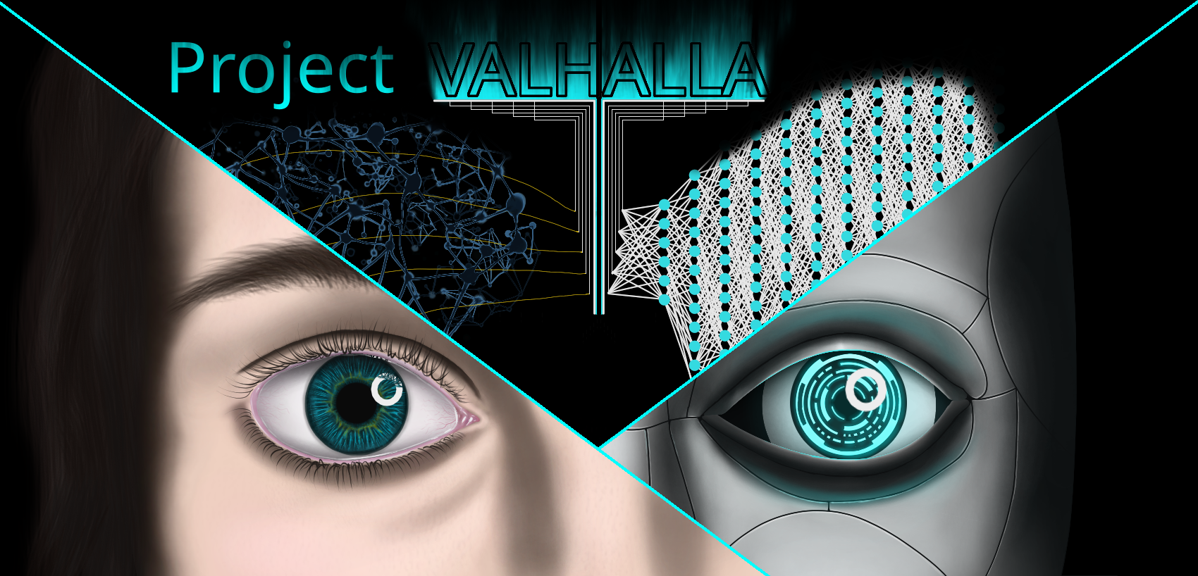 project valhalla v0.0