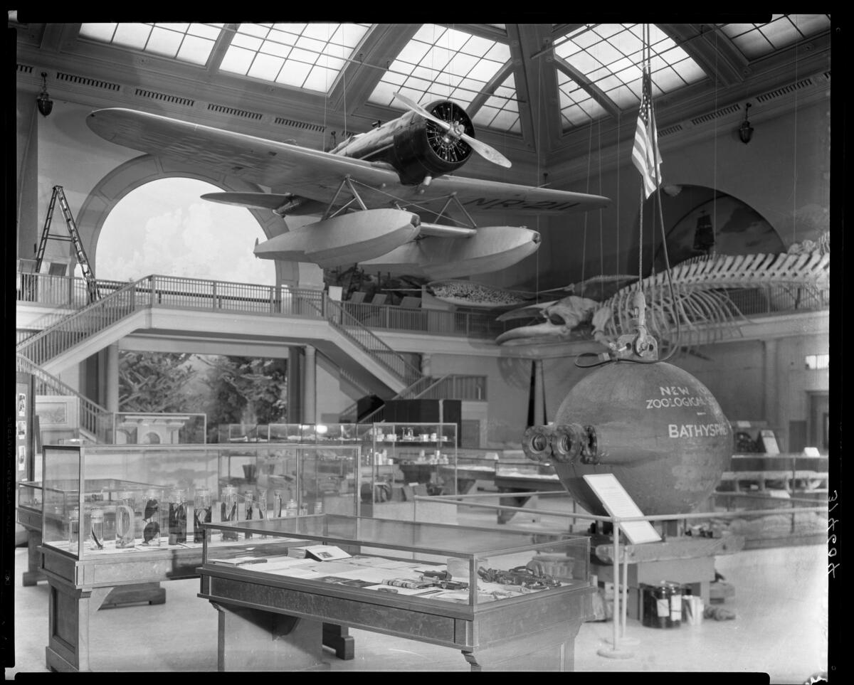 exit through the gift shop