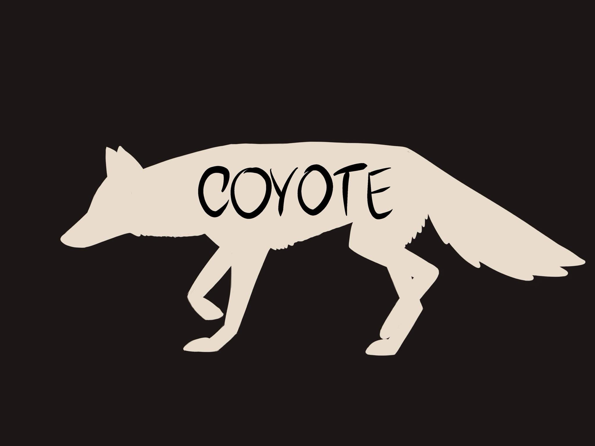 coyote