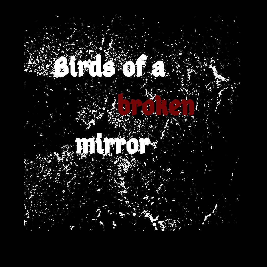 grey swan - birds of a broken mirror