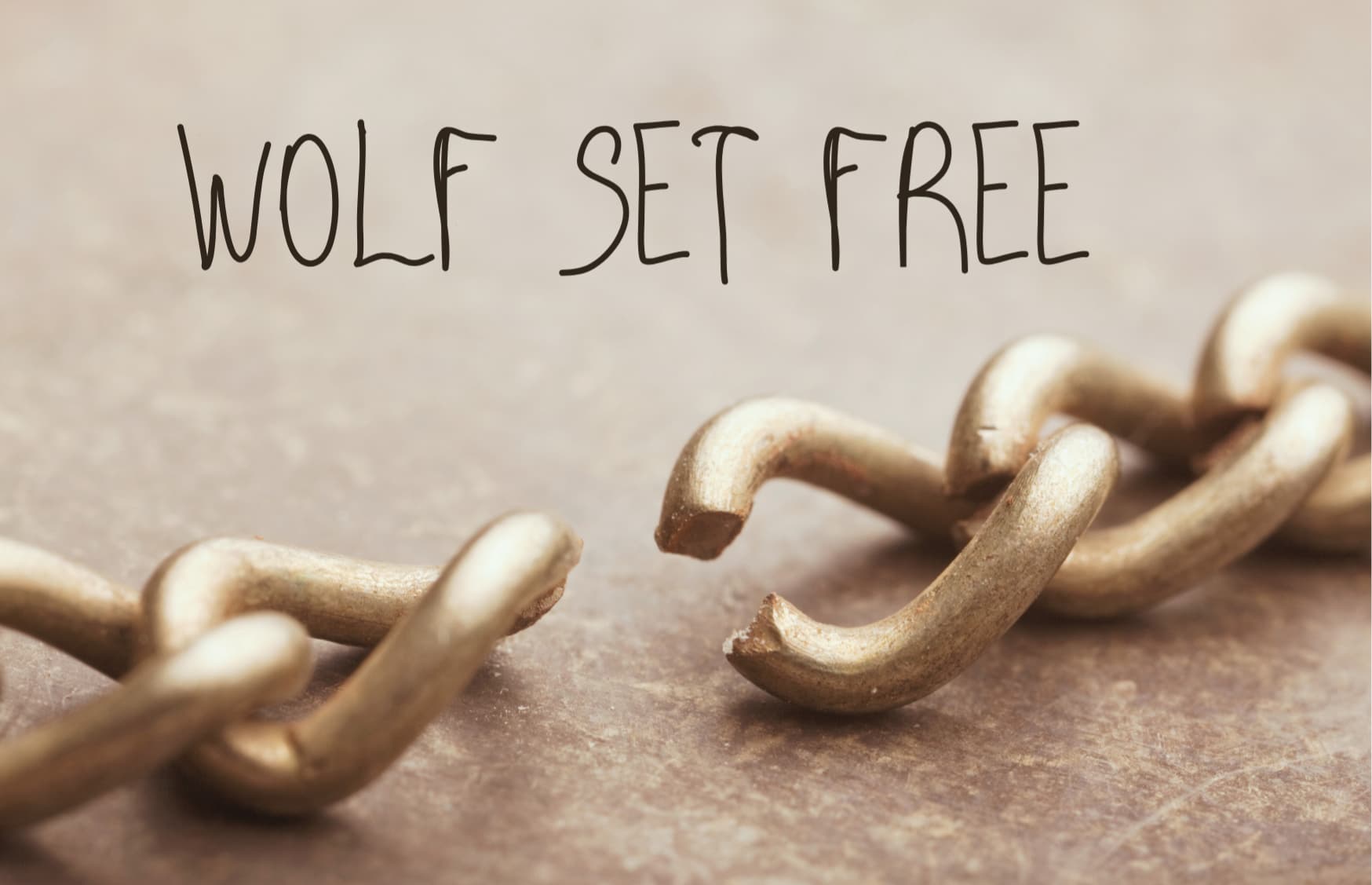 wolf set free