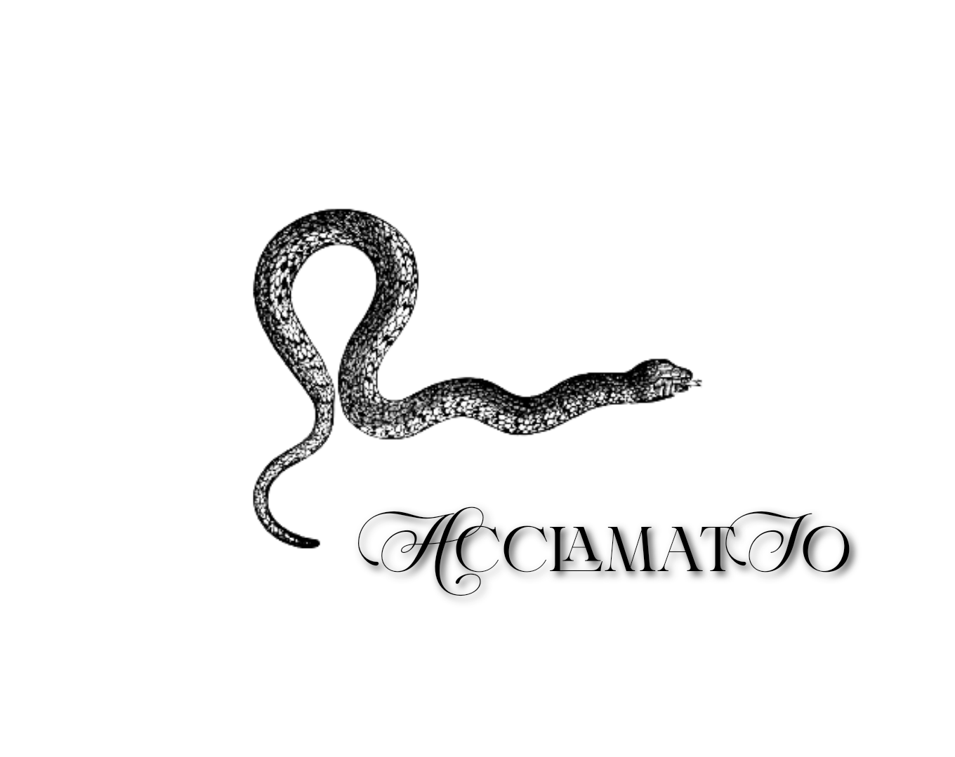 acclamatĭo: the blue blood assassin