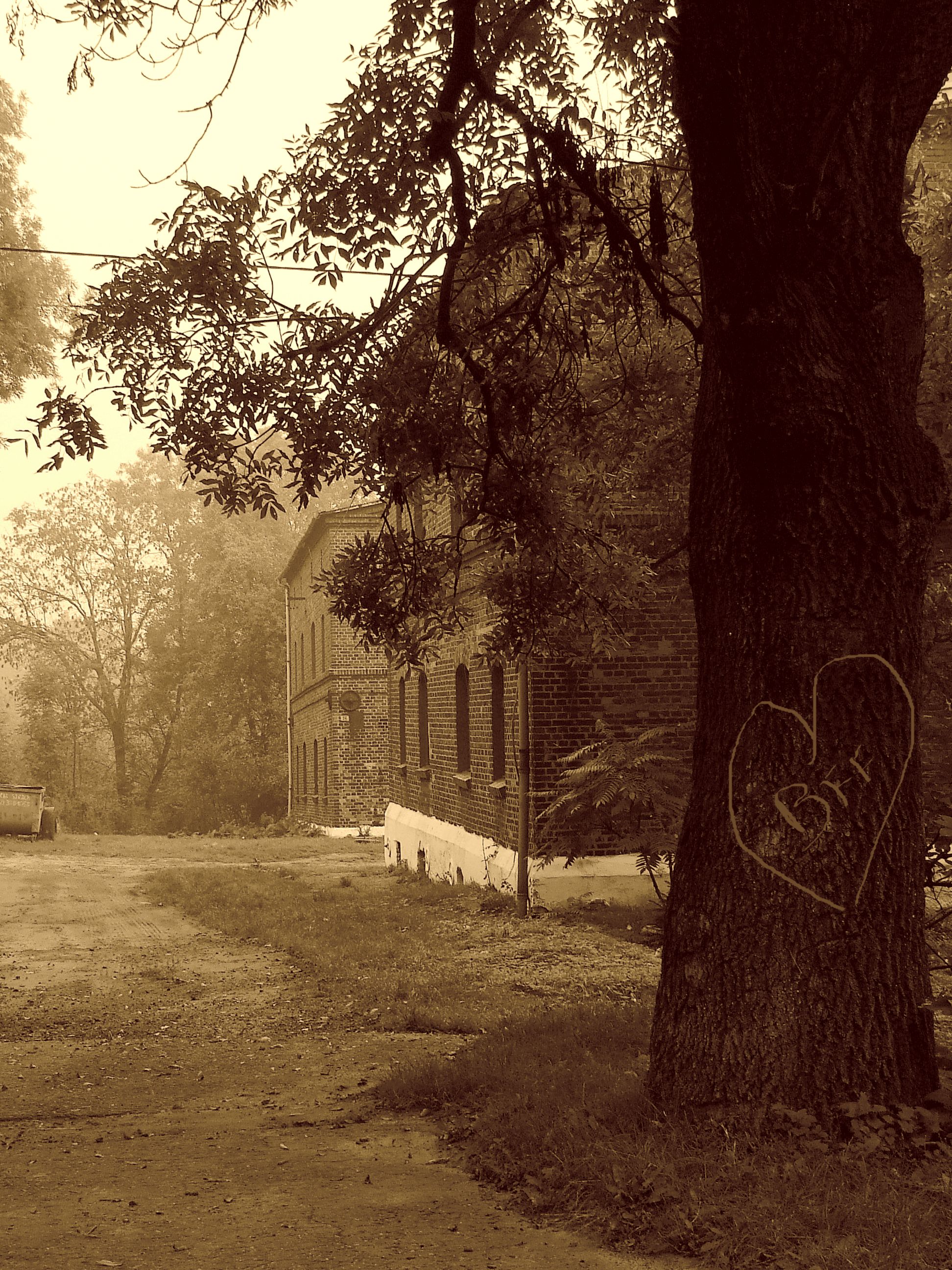 bff - a complicated love story